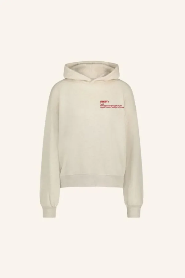 By bar Sweaters | Truien<dictionary hoodie | oyster melee